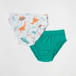 Slip-Sets für Jungen Dino (2 Stück)