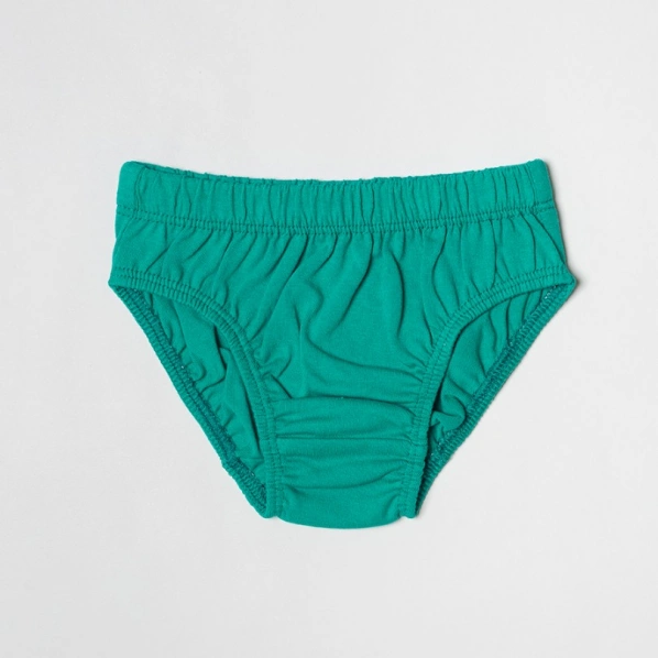 Boy´s panty sets Dino (2 pieces)